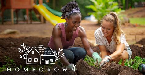 where to watch homegrown television show